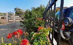 Apartments Dalmatia